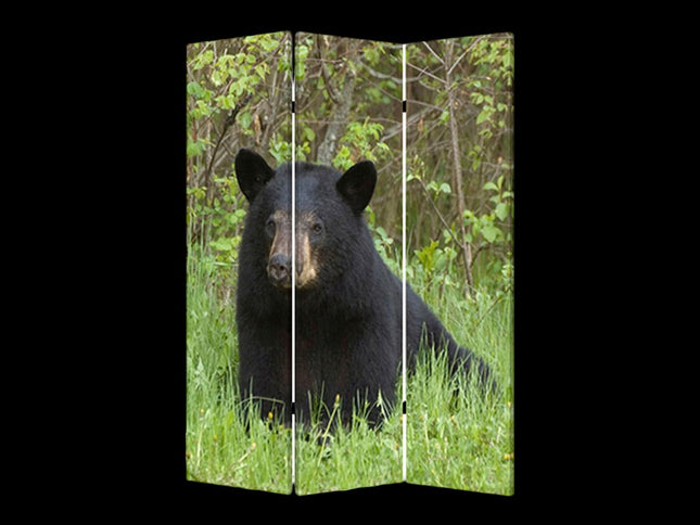 48" X 72" Multi Color Wood Canvas Bear  Screen