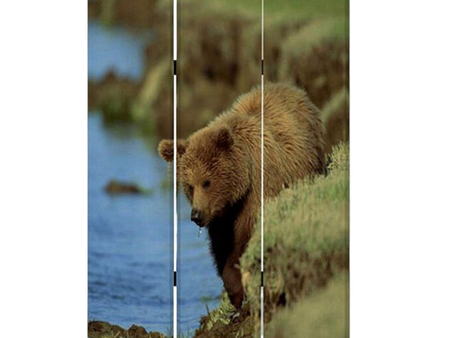 48" X 72" Multi Color Wood Canvas Bear  Screen