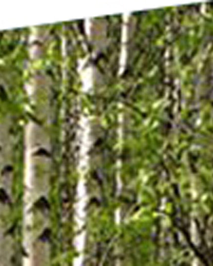 84" Green Canvas Folding Four Panel Screen Room Divider