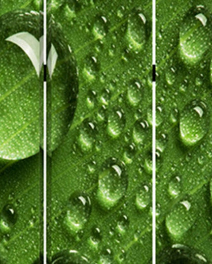 72" Green Canvas Folding Three Panel Screen Room Divider