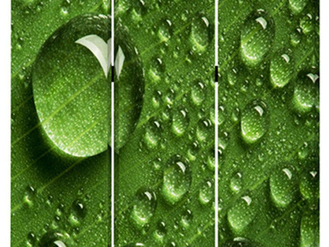 48" X 72" Multi Color Wood Canvas Rain  Screen