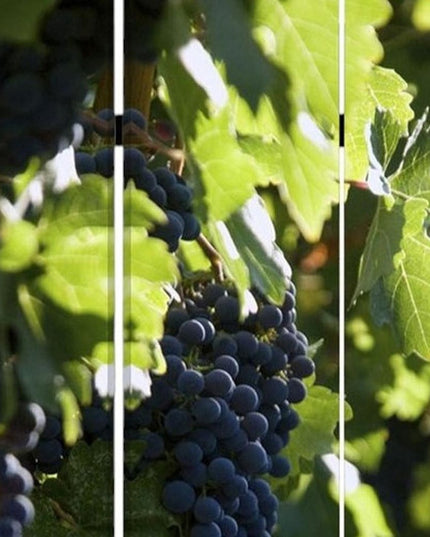 72" Green Canvas Folding Three Panel Screen Room Divider