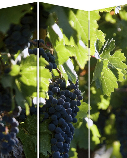 48" X 72" Multi Color Wood Canvas Wine Country  Screen