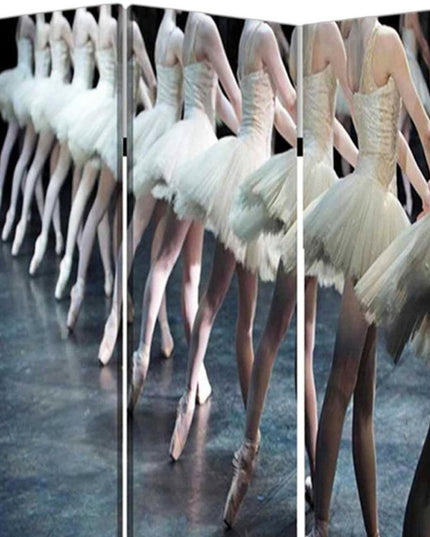 48" X 72" Multi Color Wood Canvas Ballet  Screen