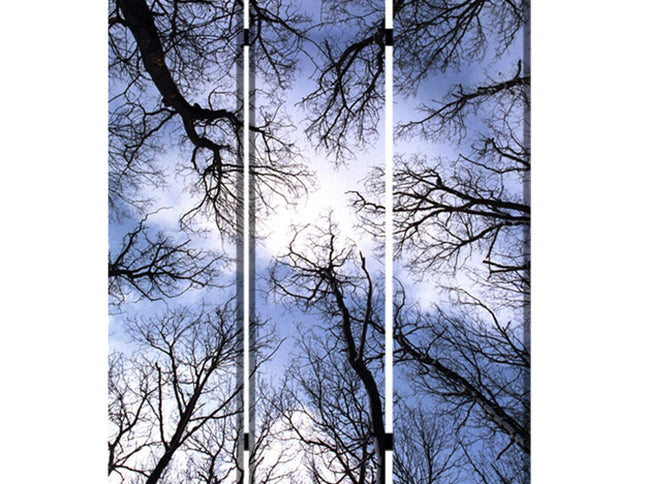 48" X 72" Multi Color Wood Canvas Forest  Screen