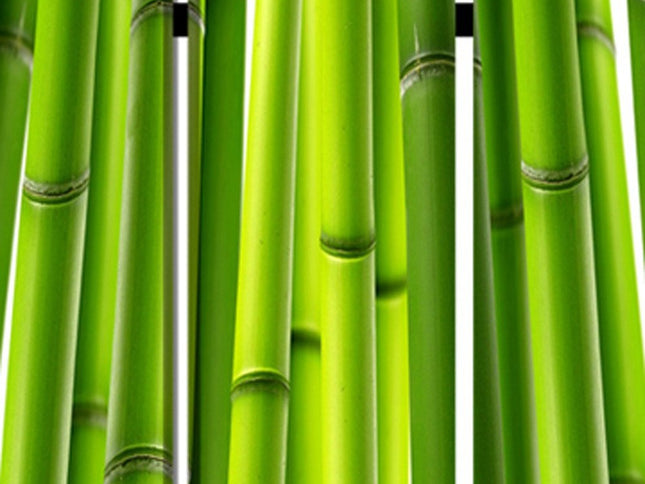 48" X 72" Multi Color Wood Canvas Bamboo  Screen