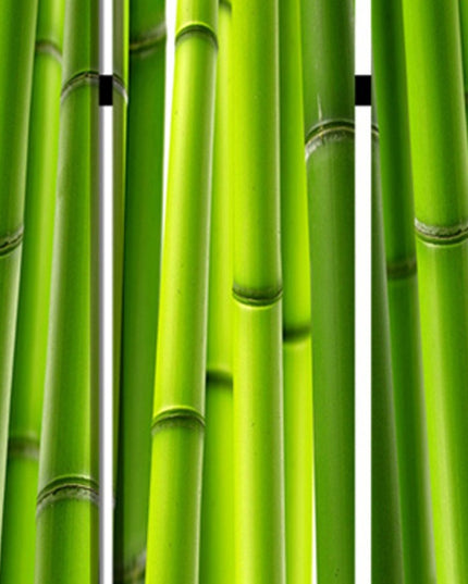 72" Green Canvas Folding Three Panel Screen Room Divider