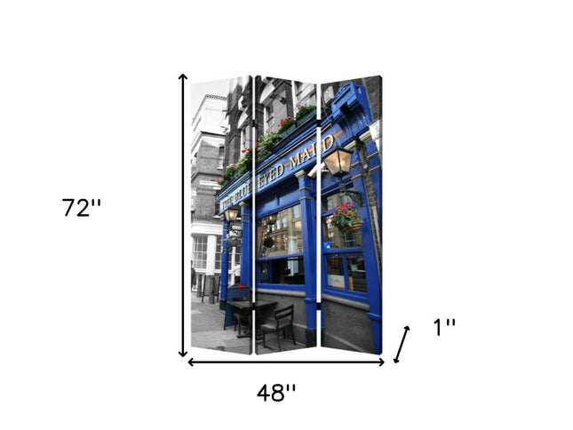 48" X 72" Multi Color Wood Canvas The Blue Eyed  Screen