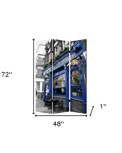 48" X 72" Multi Color Wood Canvas The Blue Eyed  Screen