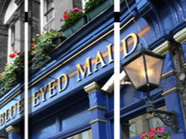 48" X 72" Multi Color Wood Canvas The Blue Eyed  Screen