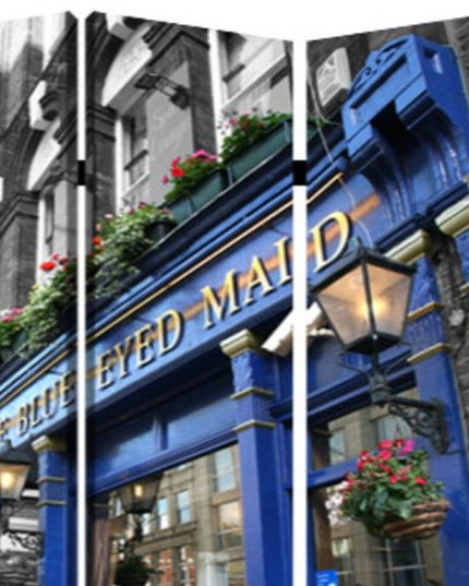 48" X 72" Multi Color Wood Canvas The Blue Eyed  Screen