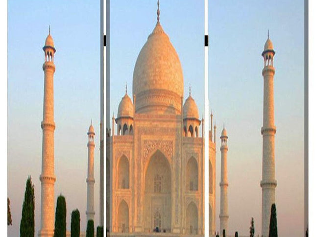 48" X 72" Multi Color Wood Canvas Taj Mahal  Screen