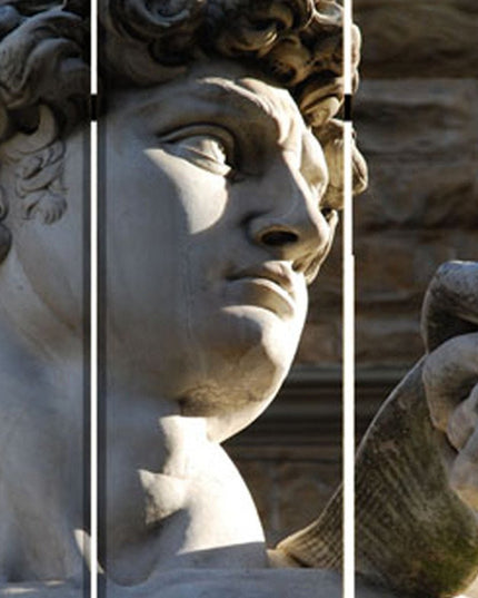 48" X 72" Multi Color Wood Canvas Rome  Screen