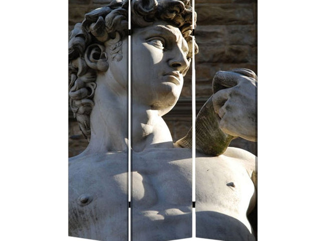 48" X 72" Multi Color Wood Canvas Rome  Screen