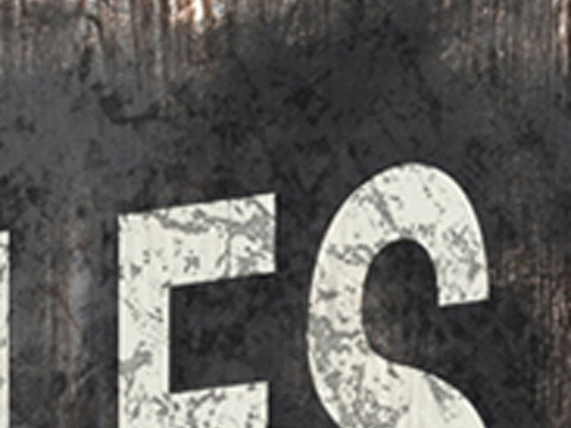 72" Black And White Canvas Folding Three Panel Screen Room Divider