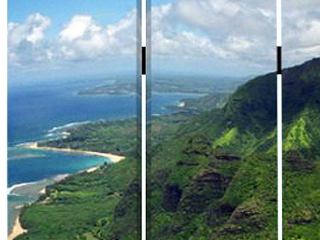 48 X 72 Multi Color Wood Canvas Palm Tripical  Screen