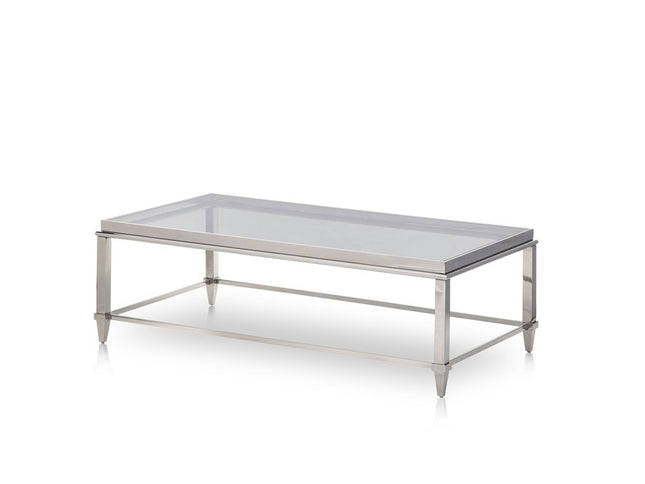 55" Clear and Silver Glass And Steel Coffee Table