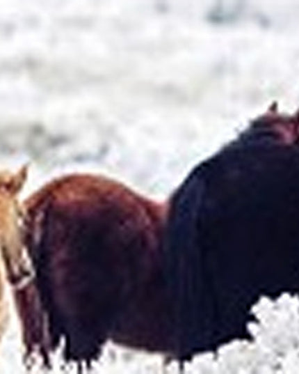 Set of Three White Canvas Square Framed Art