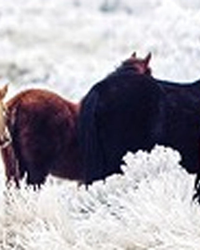 Set of Three White Canvas Square Framed Art