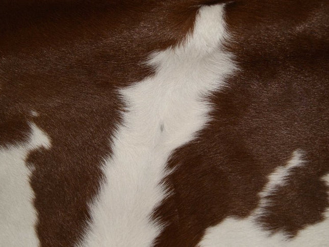 2' X 3' Brown And White Cowhide Cowhide Print Hand Tufted Area Rug