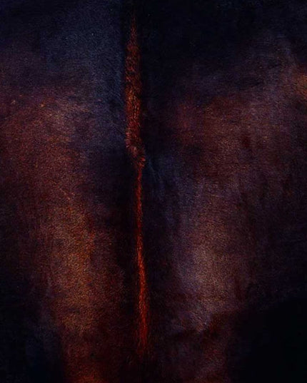 6' X 7' Brown And Black Cowhide Cowhide Print Area Rug