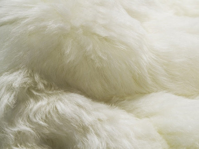 2' X 3' White Animal Print Area Rug