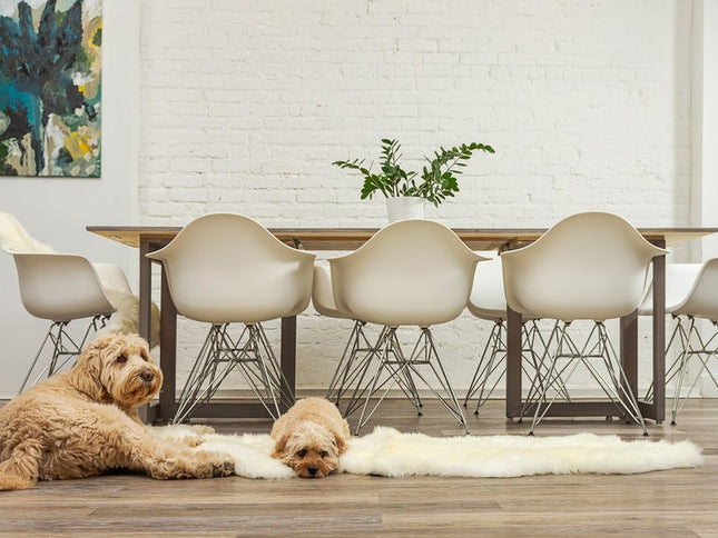 6' Natural Genuine Sheepskin Animal Print Shag Area Rug