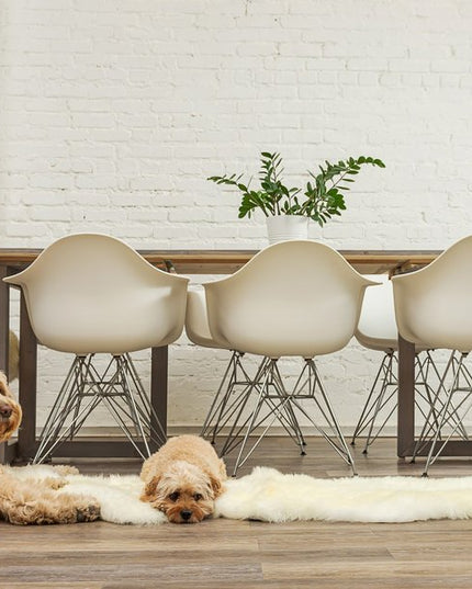 6' Natural Genuine Sheepskin Animal Print Shag Area Rug