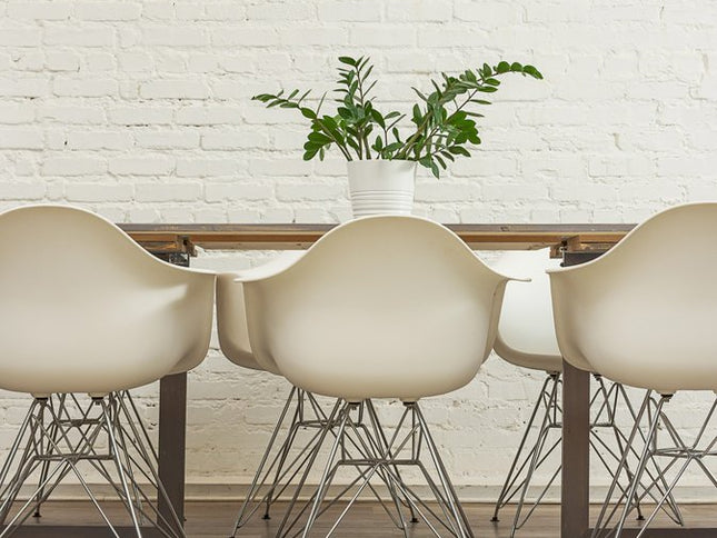 6' Natural Genuine Sheepskin Animal Print Shag Area Rug