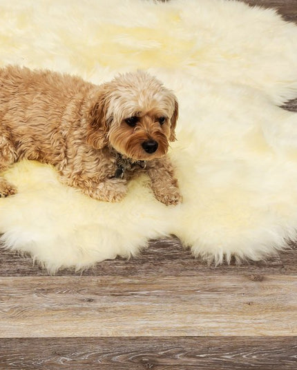 6' X 6' Natural Sheepskin Non Skid Area Rug