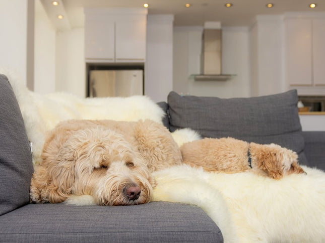 6' X 6' Natural Sheepskin Non Skid Area Rug