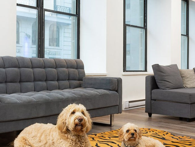 72" X 84" Tiger Chocolate On Natural Cowhide - Rug