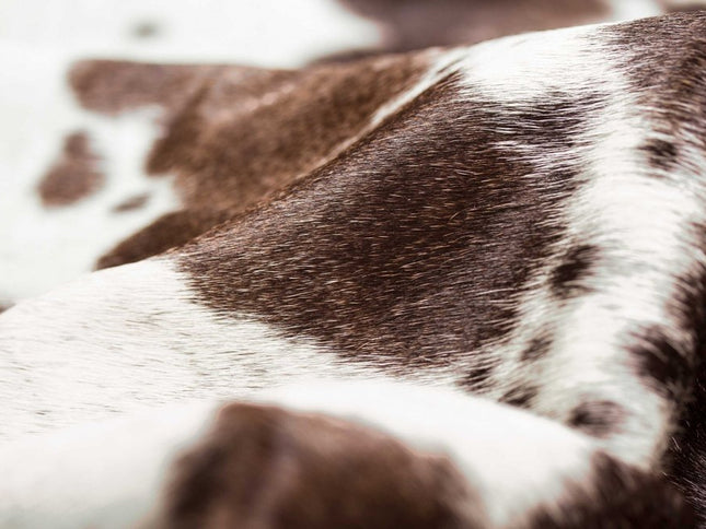 6' X 7' White Cowhide Cowhide Print Area Rug