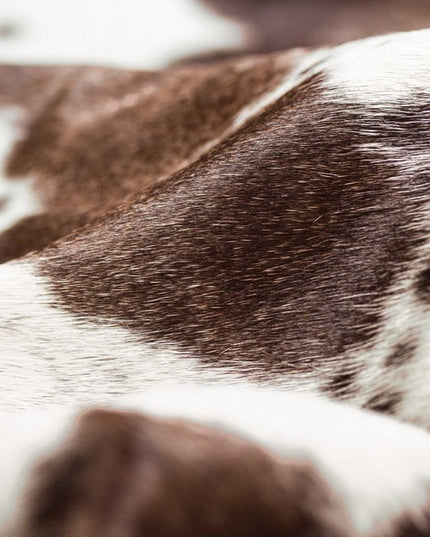 6' X 7' White Cowhide Cowhide Print Area Rug