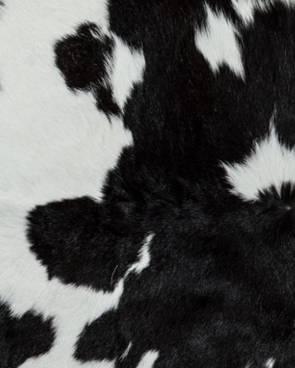 2' X 3' Black And White Cowhide Abstract Hand Woven Area Rug
