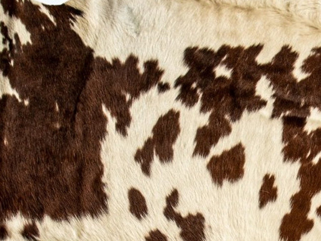 6' X 7' Brown And White Cowhide Cowhide Print Area Rug