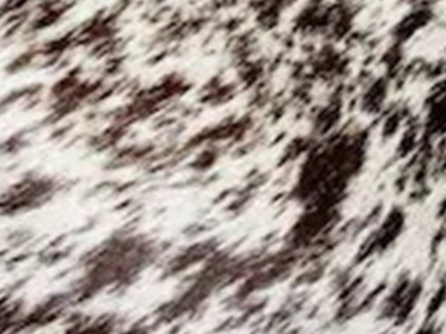 6' X 7' Brown And White Cowhide Cowhide Print Area Rug