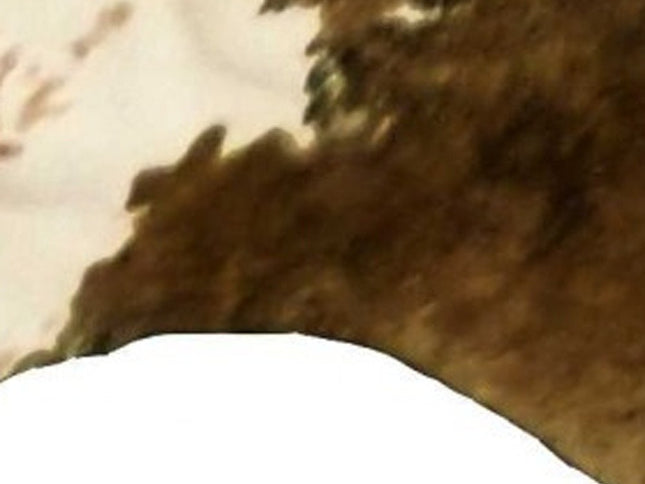 6' X 7' Brown And White Cowhide Handmade Area Rug