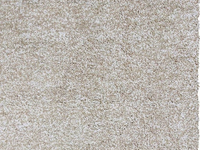 10' X 13' Ivory Hand Woven Area Rug