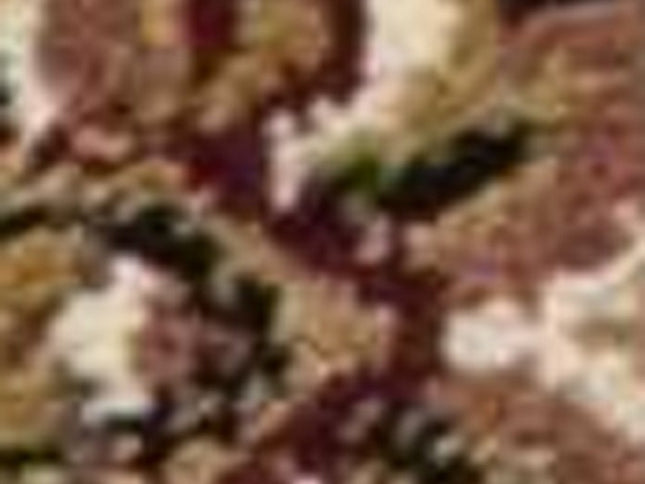 7' Red And Beige Floral Medallion Octagon Rug