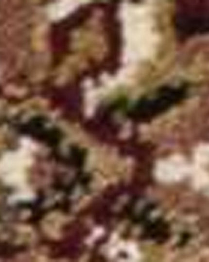 7' Red And Beige Floral Medallion Octagon Rug