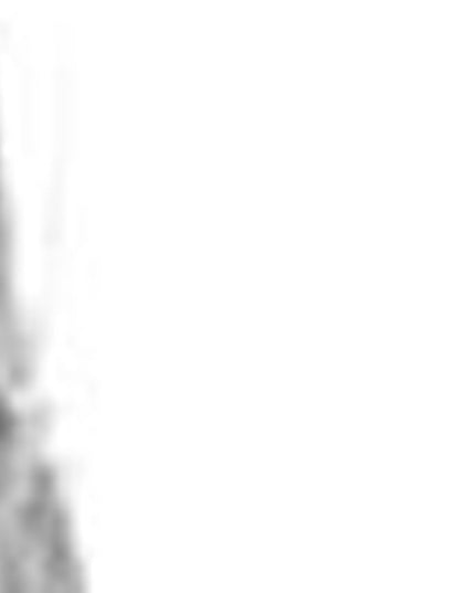 40" Aluminum Silver Twigs Cylinder Floor Vase