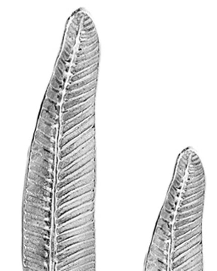 Set of Two Silver Aluminum Tall Feather Tabletop Sculptures