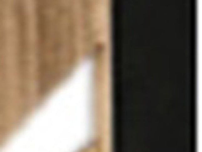 3 Panel Room Divider With Tropical Leaf Design