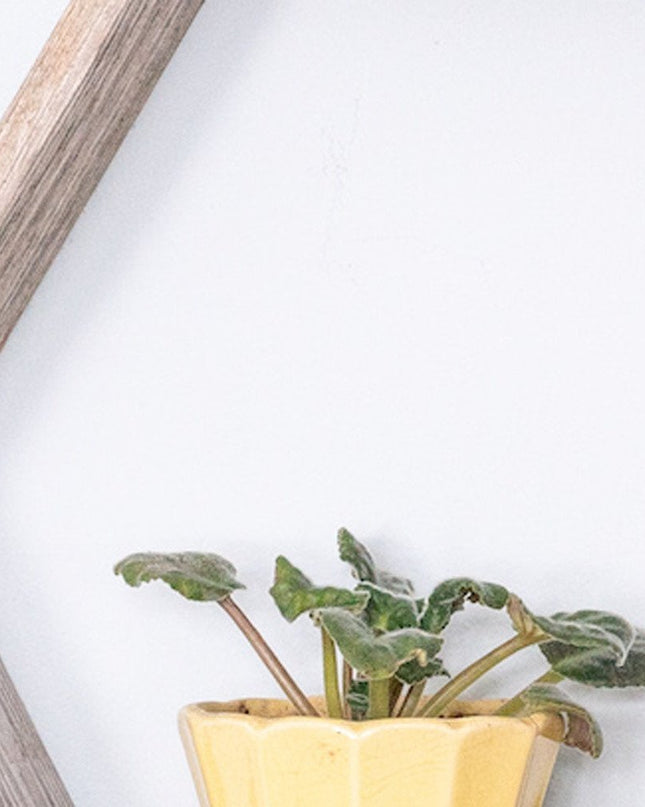 Set of Three Gray Wood Hexagon Wood Open Box Shelves