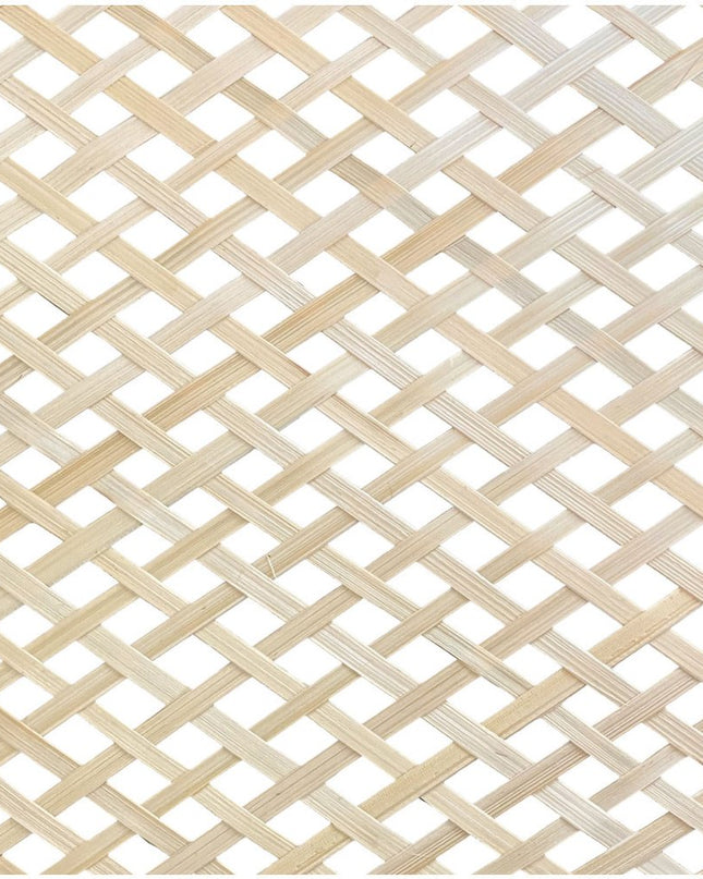 Natural Boho Weave Ceiling Lamp