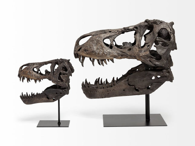 Authentic Replica T Rex Skull Sculpture