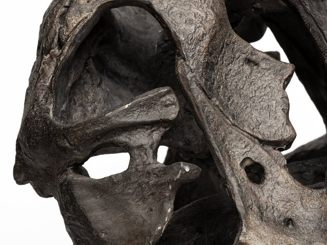 Authentic Replica T Rex Skull Sculpture