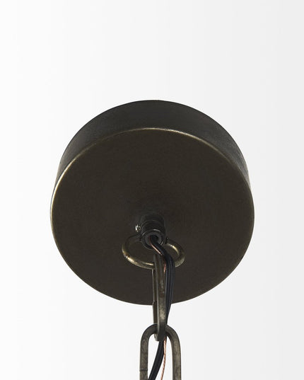 Industrial Caged Black Metal Hanging Light