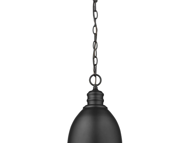 Minimalist Black Metal Pendant Hanging Light